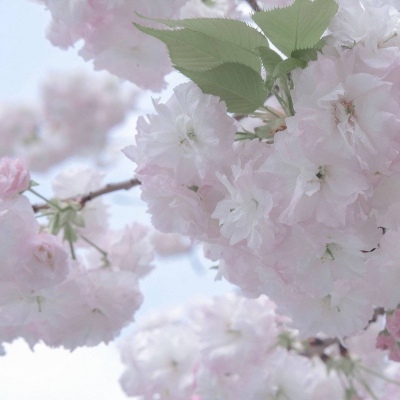 兽设晴天场景设计兽圈社群